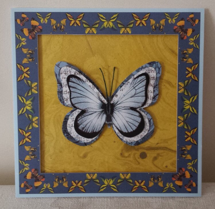 Card with butterflies