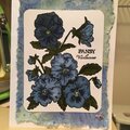 bright blue pansies