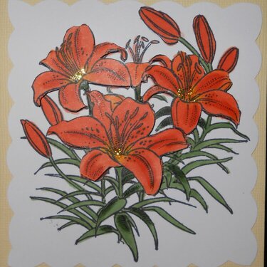 Orange Day Lily
