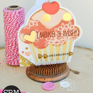 Make a Wish SRM