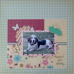 Dolly Enjoying the Sun