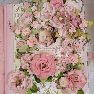 Annavaea Rose Baby Book
