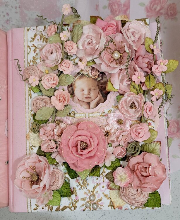 Annavaea Rose Baby Book