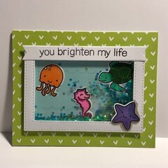 Bright Life Shaker Card