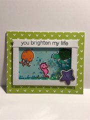 Bright Life Shaker Card