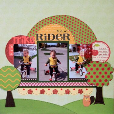 (old) Trike (new) Rider