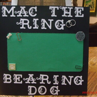 Mac - The Ring Bearing Dog