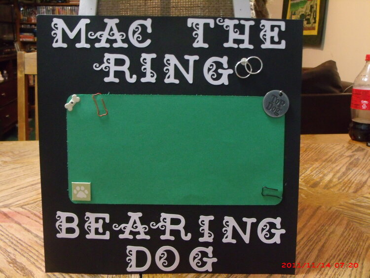 Mac - The Ring Bearing Dog