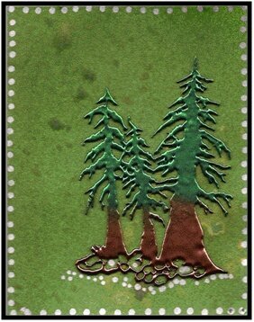 Spruce Tree Trio