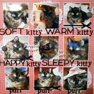 Soft Kitty