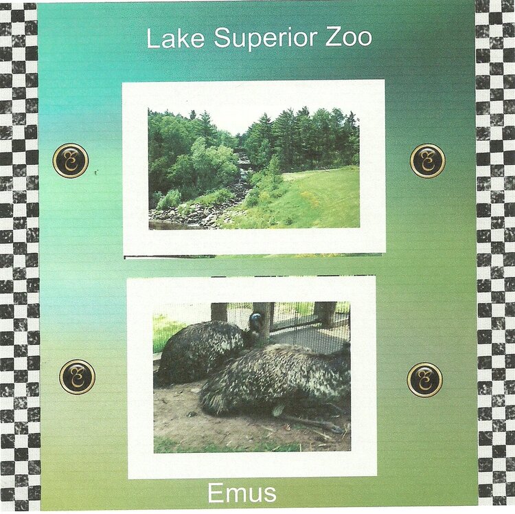 Lake Superior Zoo in Duluth MN