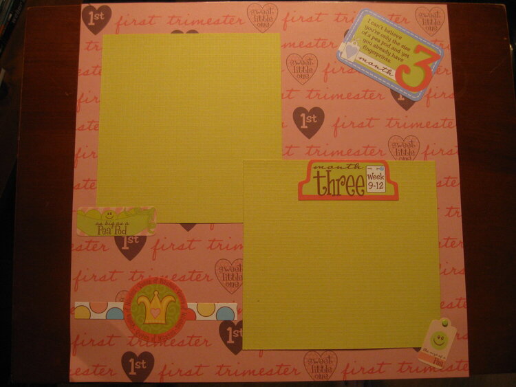 Baby Scrapbook for SIL - baby boy #1
