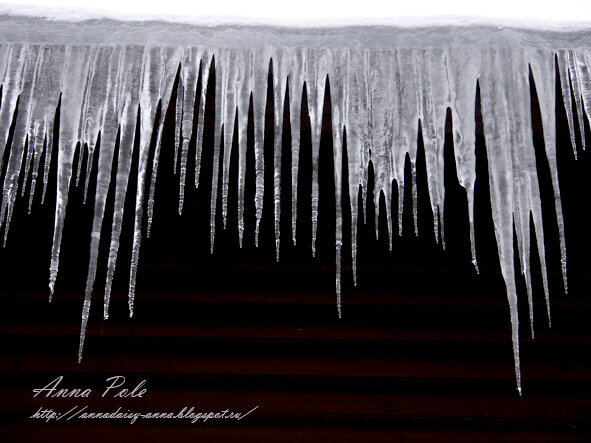 January 2013 icicle
