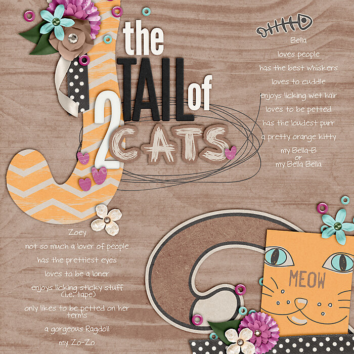 Tail of 2 Cats