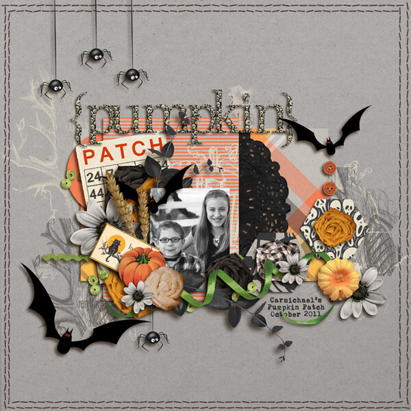 pumpkin patch