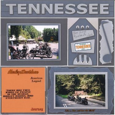DW 2008/Tennessee