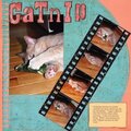 DW 2008/catnip