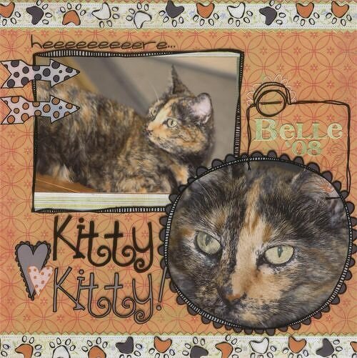 DW 2008/Kitty Kitty