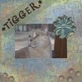 DW 2008/Tigger 4-8