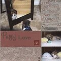 DW 2008/Puppy Love