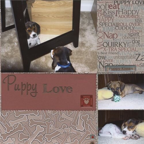 DW 2008/Puppy Love