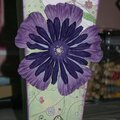 Altered vase for DW girls challenge