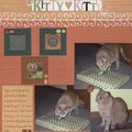 DW 2008/Kitty Kitty