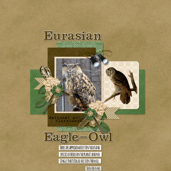 Eurasian Eagle-Owl