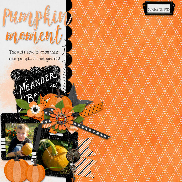 Pumpkin Moment