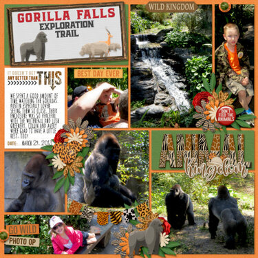 Gorilla Falls