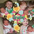 Announcing Ainsley (2)