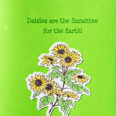 Daisies are the Sunshine for the Earth!