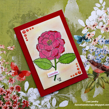 Carmel&#039;s 2025 Birthday Card