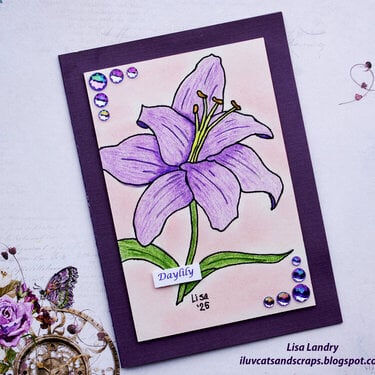 Diana&#039;s 2025 Birthday Card