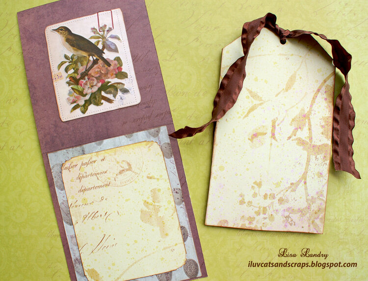 K&amp;Company Flora &amp; Fauna - Card and Tag Set (Bird)