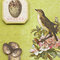 K&Company - Flora & Fauna - 5" x 5-3/4" Cards
