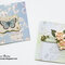 K&Company - Flora & Fauna - 6" X 6" Cards