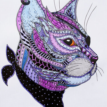 Michael - the Maine Coon Cat (Zentangle Coloring)