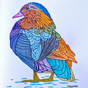 Mandarin Duck - by artist Georgie Woolridge