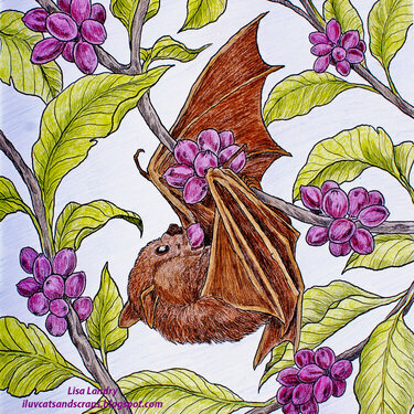 Philippine Naked-Backed Fruit Bat - Critically Endangered