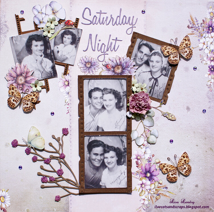 Saturday Night Photo Booth (49 and Market Irrevocable Beauty collection)