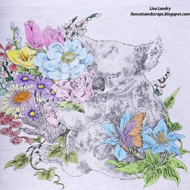 Sleepy Koala - Ken Matsuda Artwork