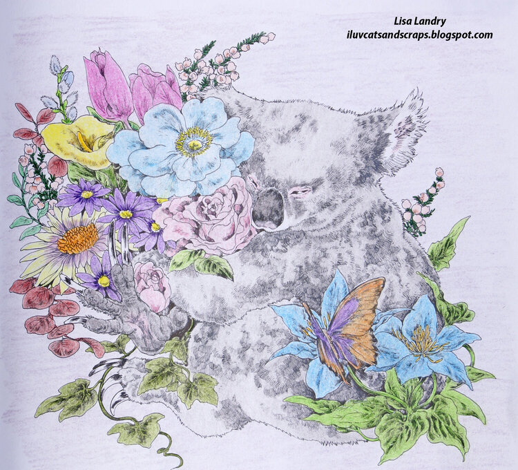 Sleepy Koala - Ken Matsuda Artwork