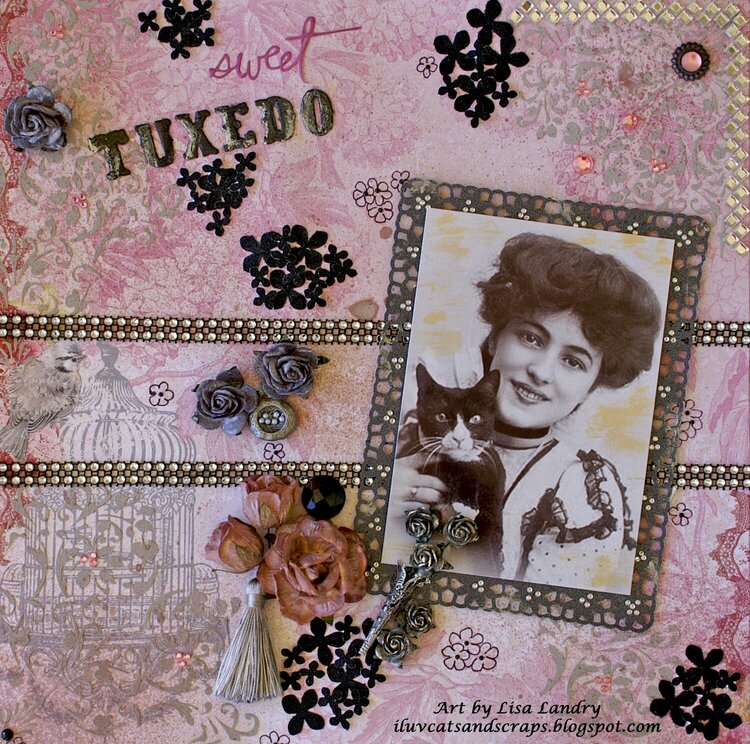 Sweet Tuxedo ~ Bo Bunny &#039;Madeleine&#039; &amp; Wild Orchid Crafts
