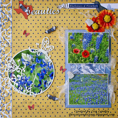 Texas beauties ~ Bluebonnets & Firewheels