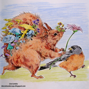 The Red Squirrel &amp; The Robin