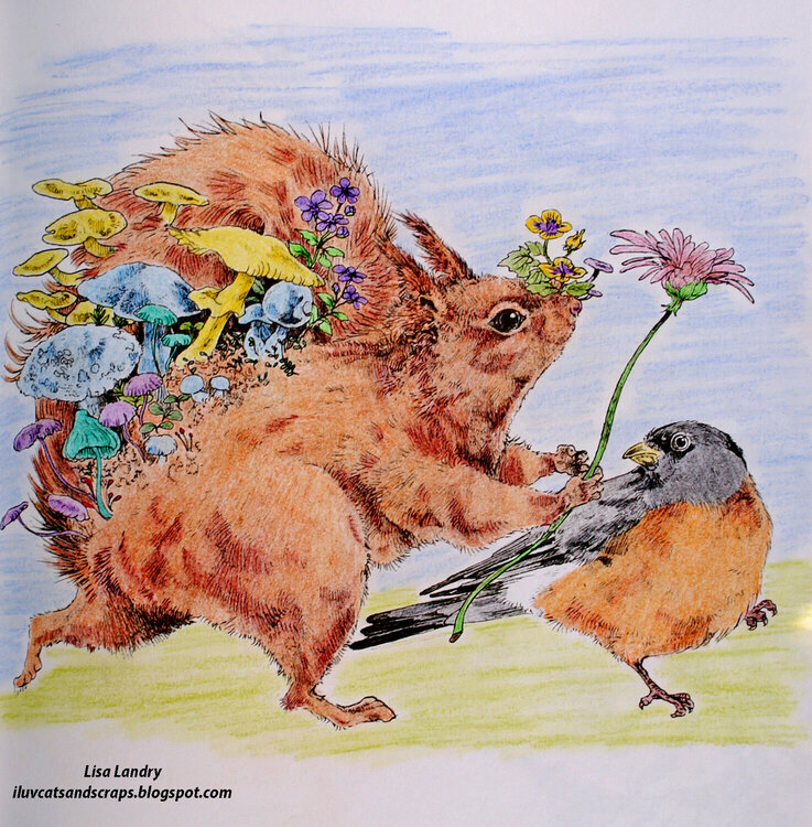 The Red Squirrel &amp; The Robin