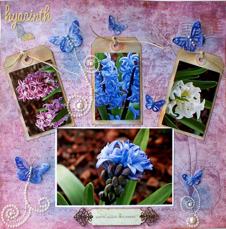 hyacinth