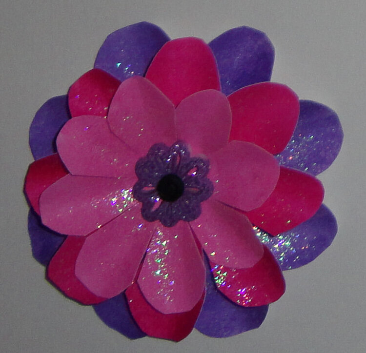 Pink and Purple Flower Detail