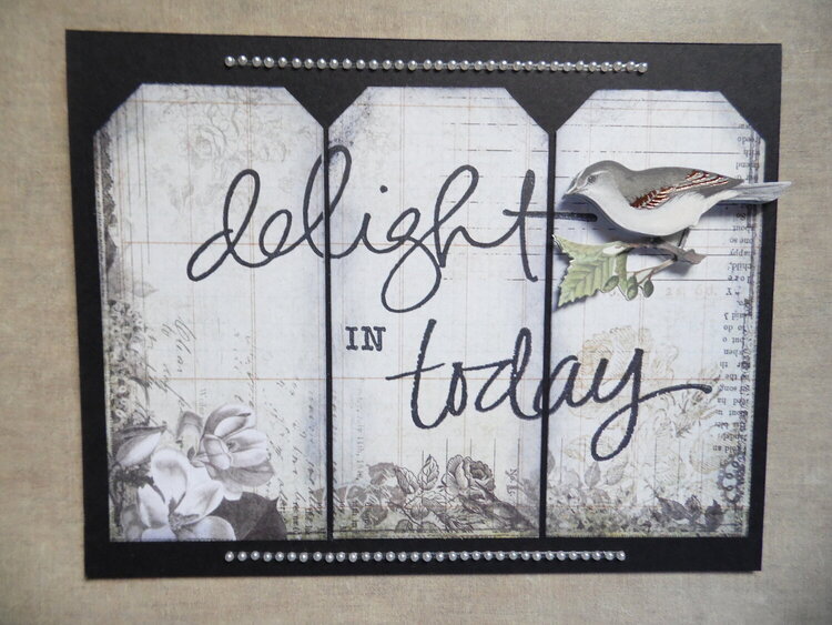 delight in today